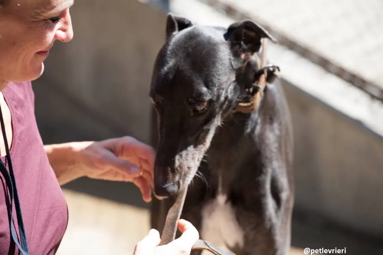 42204809 321985008567706 3273647699626295296 n