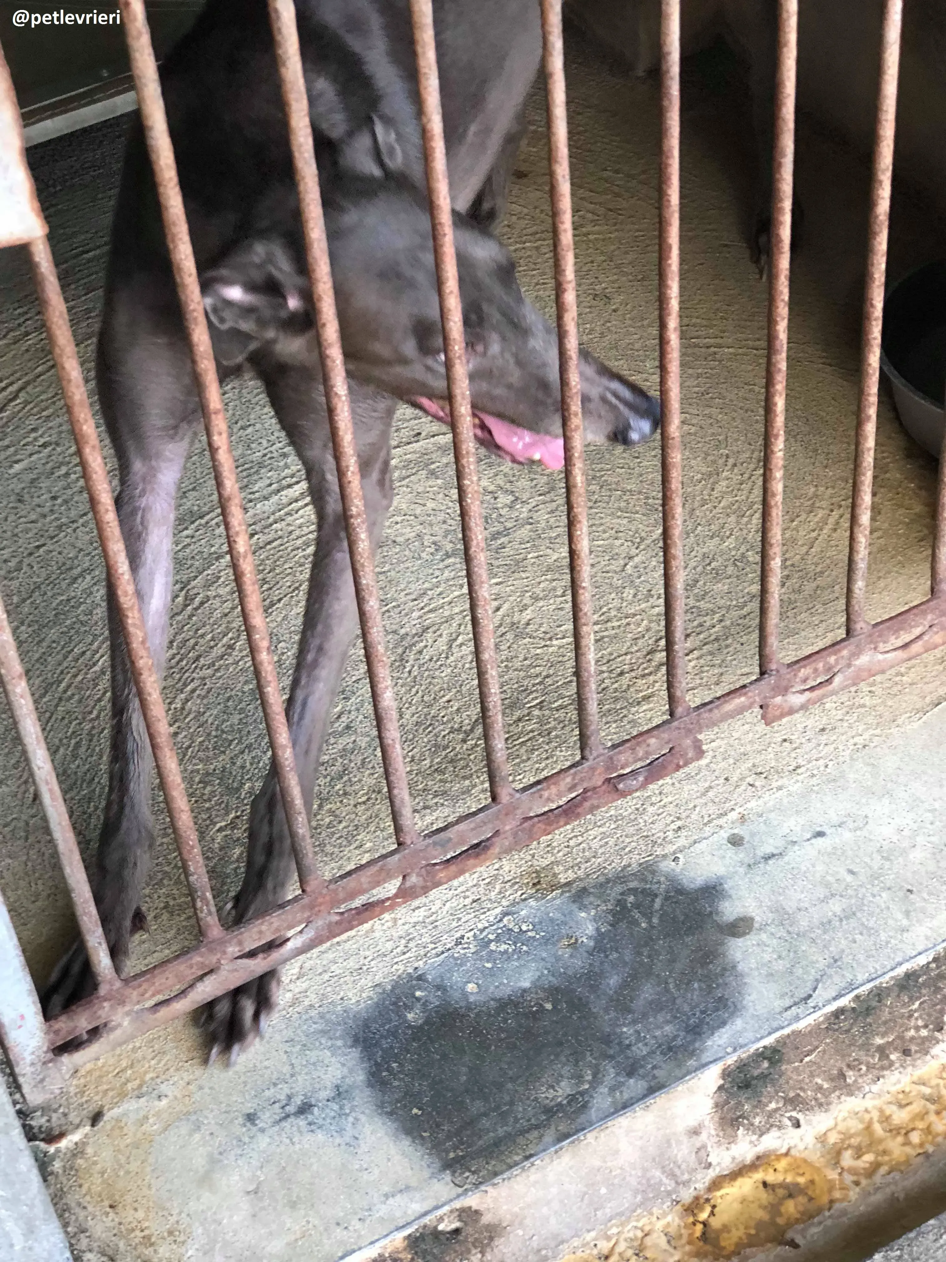 42205395 711177379242386 7090998779586805760 n 1