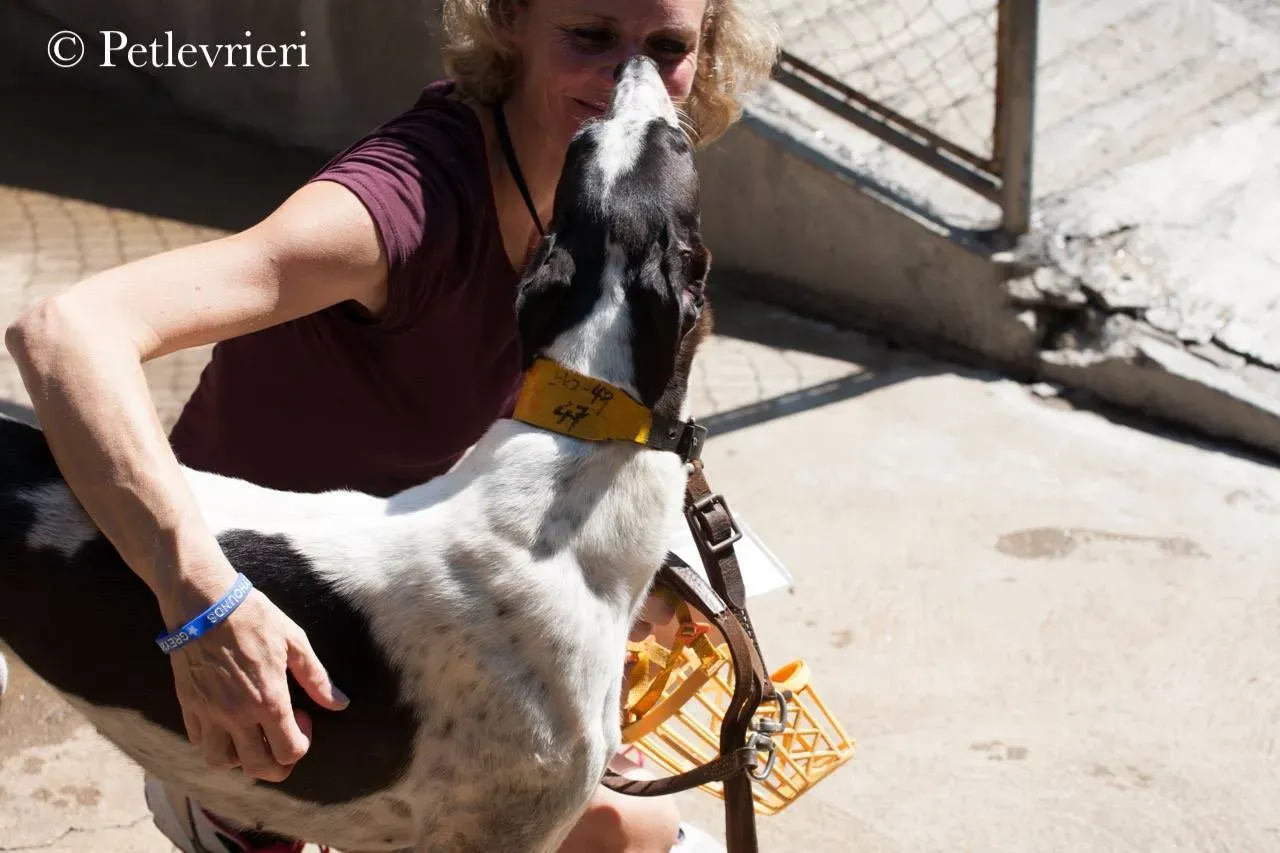 42205989 1448112251999452 1200416146319212544 n