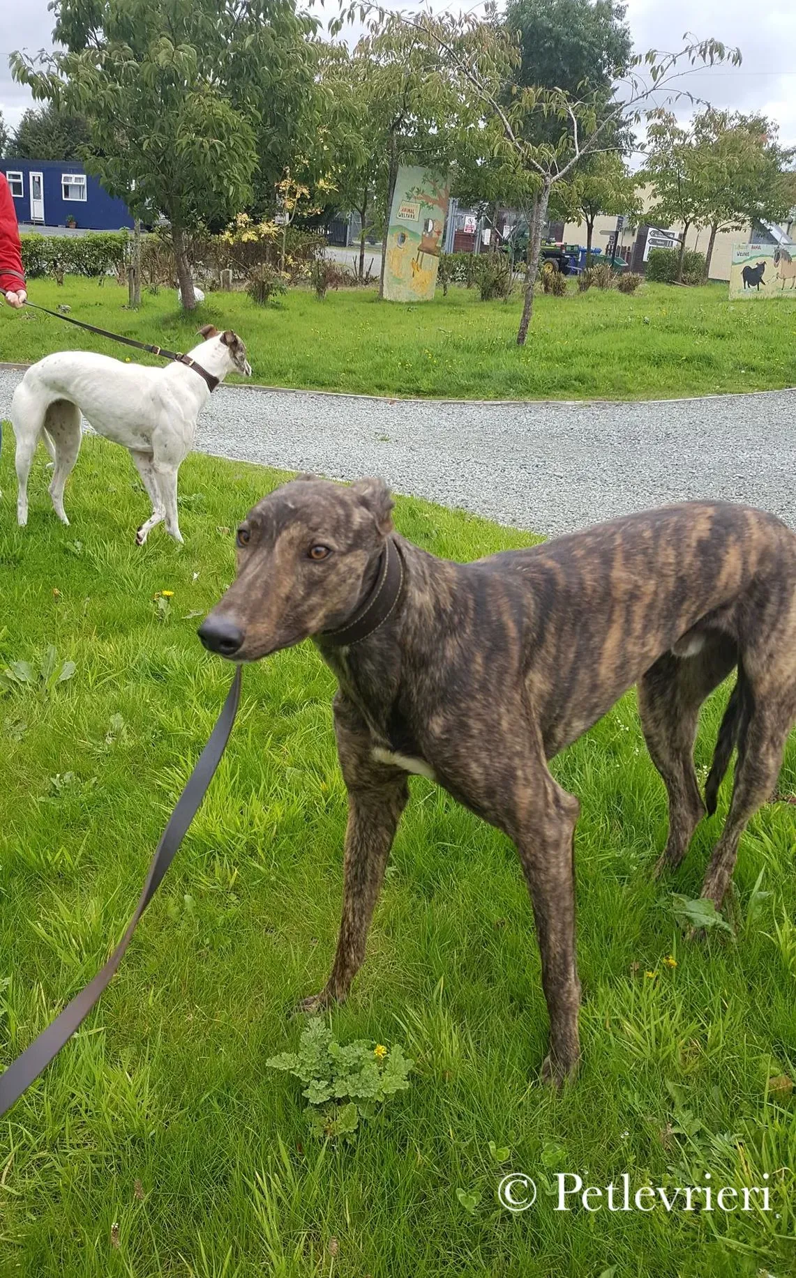 42206846 595093317560766 6631691455079383040 n