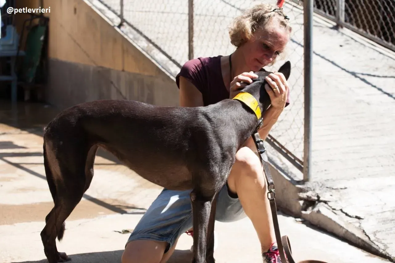 42206856 338300390275291 5311446837893267456 n