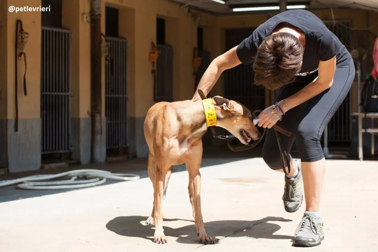 42208813 2114237865319849 5241836932832428032 n