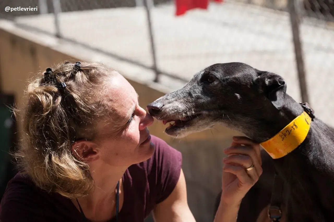 42208899 434080250448718 1177661839081734144 n