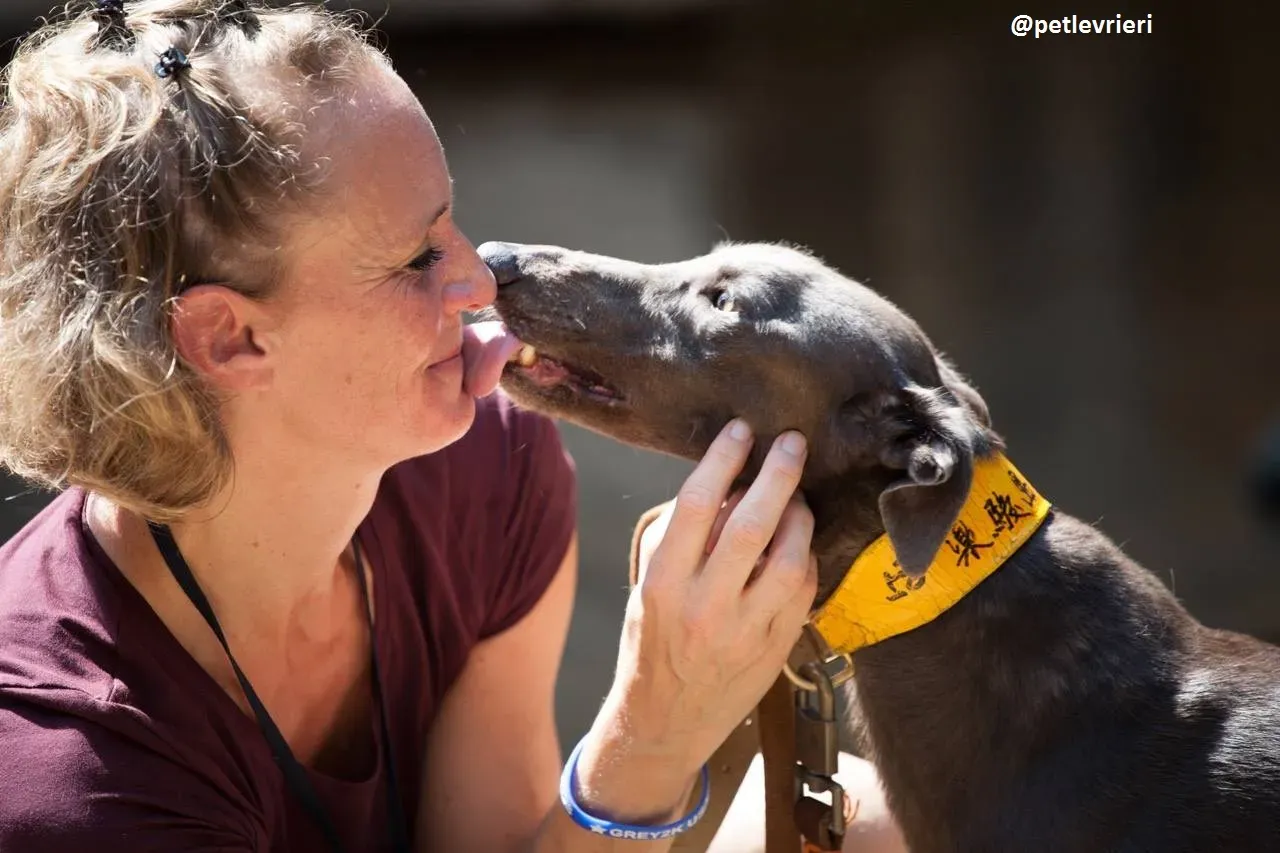 42209392 313231159259173 211472047782494208 n