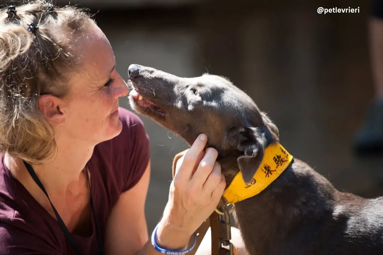 42209393 281091102714563 9031915704902746112 n