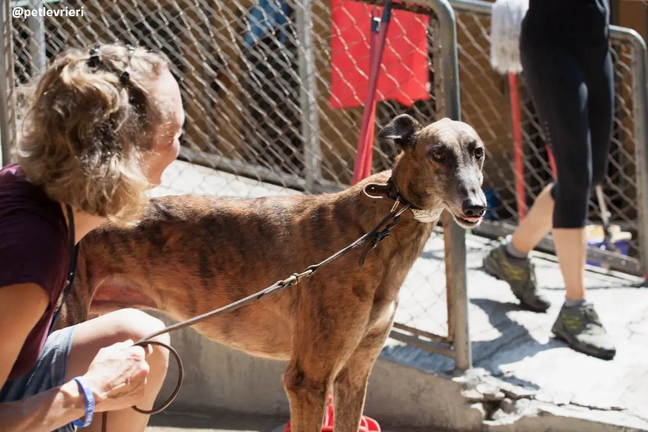 42210164 304285100351485 1552607531925241856 n