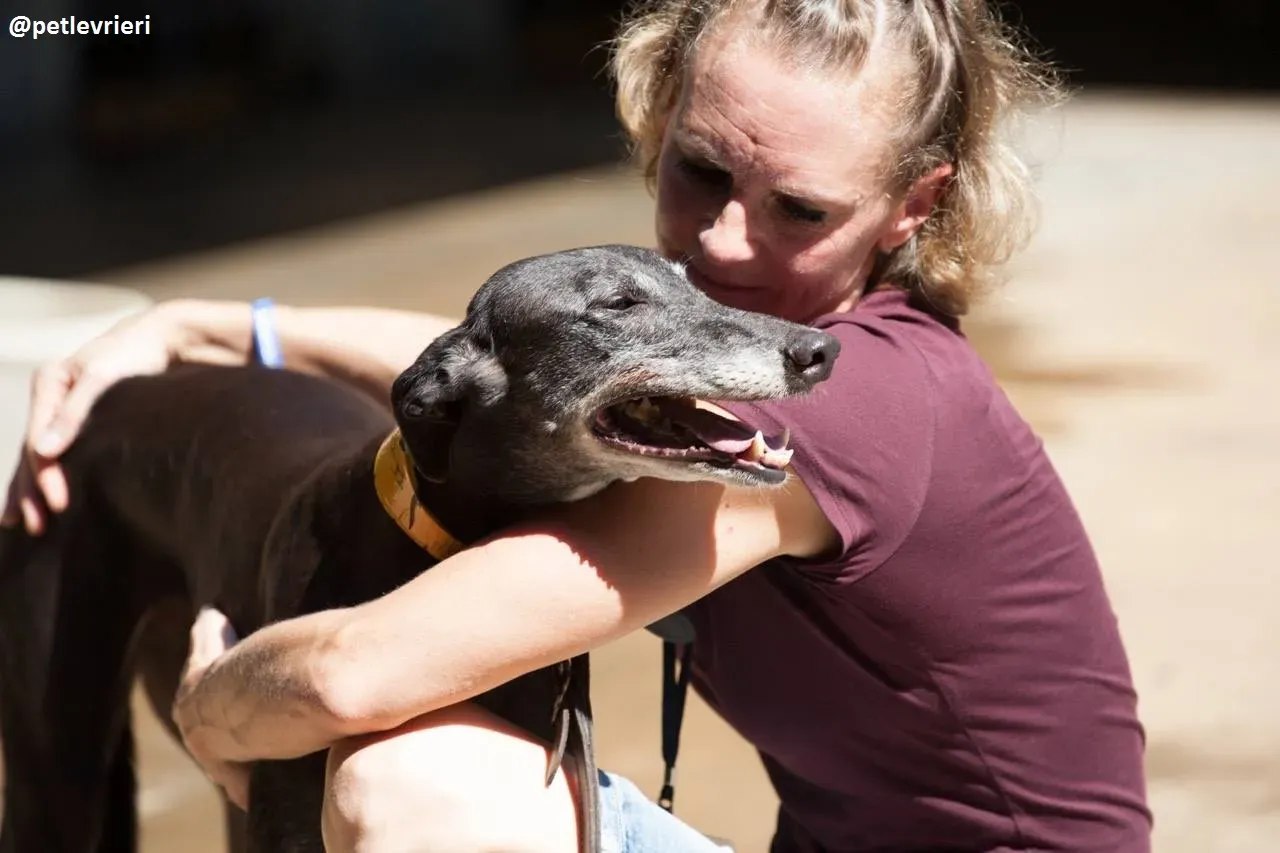 42211134 260424257938672 4242291257281347584 n