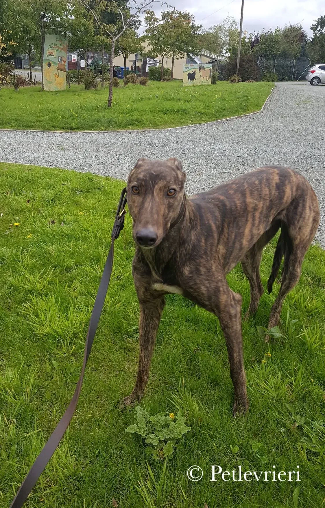 42212370 1148627268638582 3063230049135099904 n