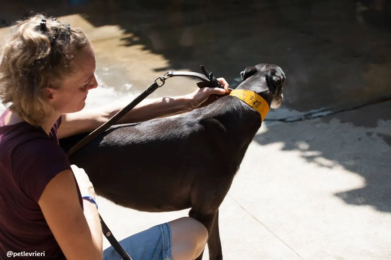 42213378 932591233595663 5733596016616144896 n