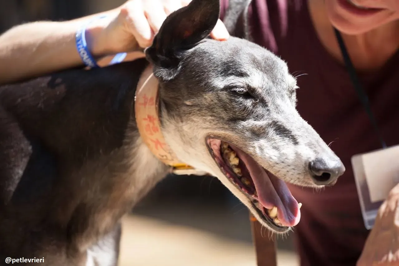 42215626 269248353717241 4532953138973376512 n