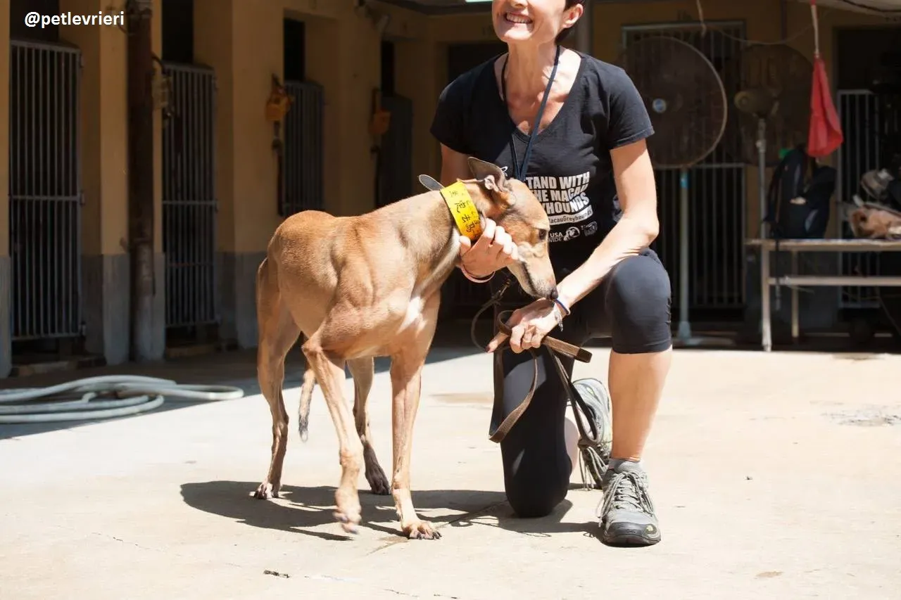 42217552 380610909143571 4259159178695671808 n