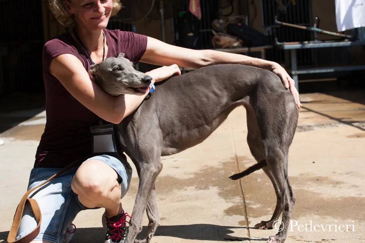 42217614 1034218126748027 5340311960174985216 n