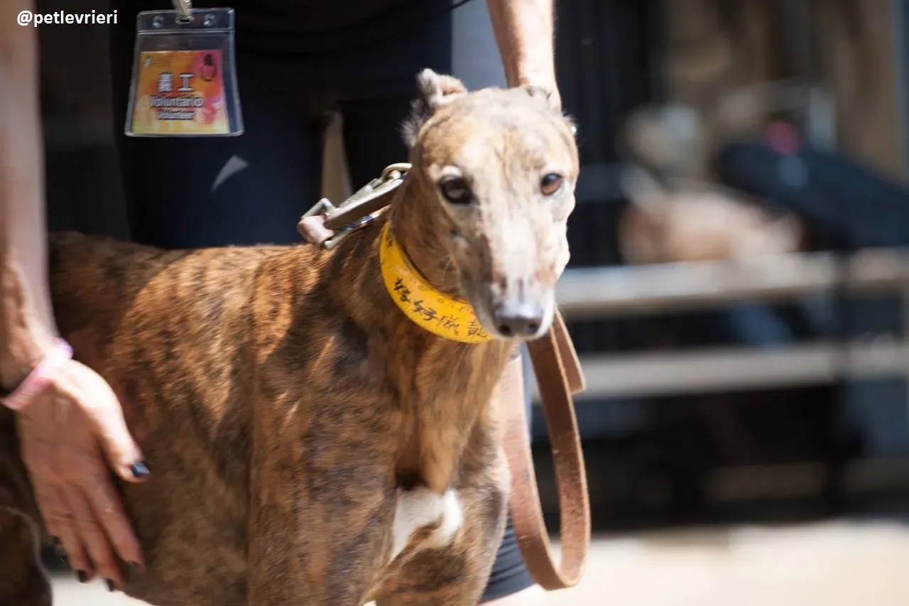 42218066 266820533943127 2242000424892628992 n