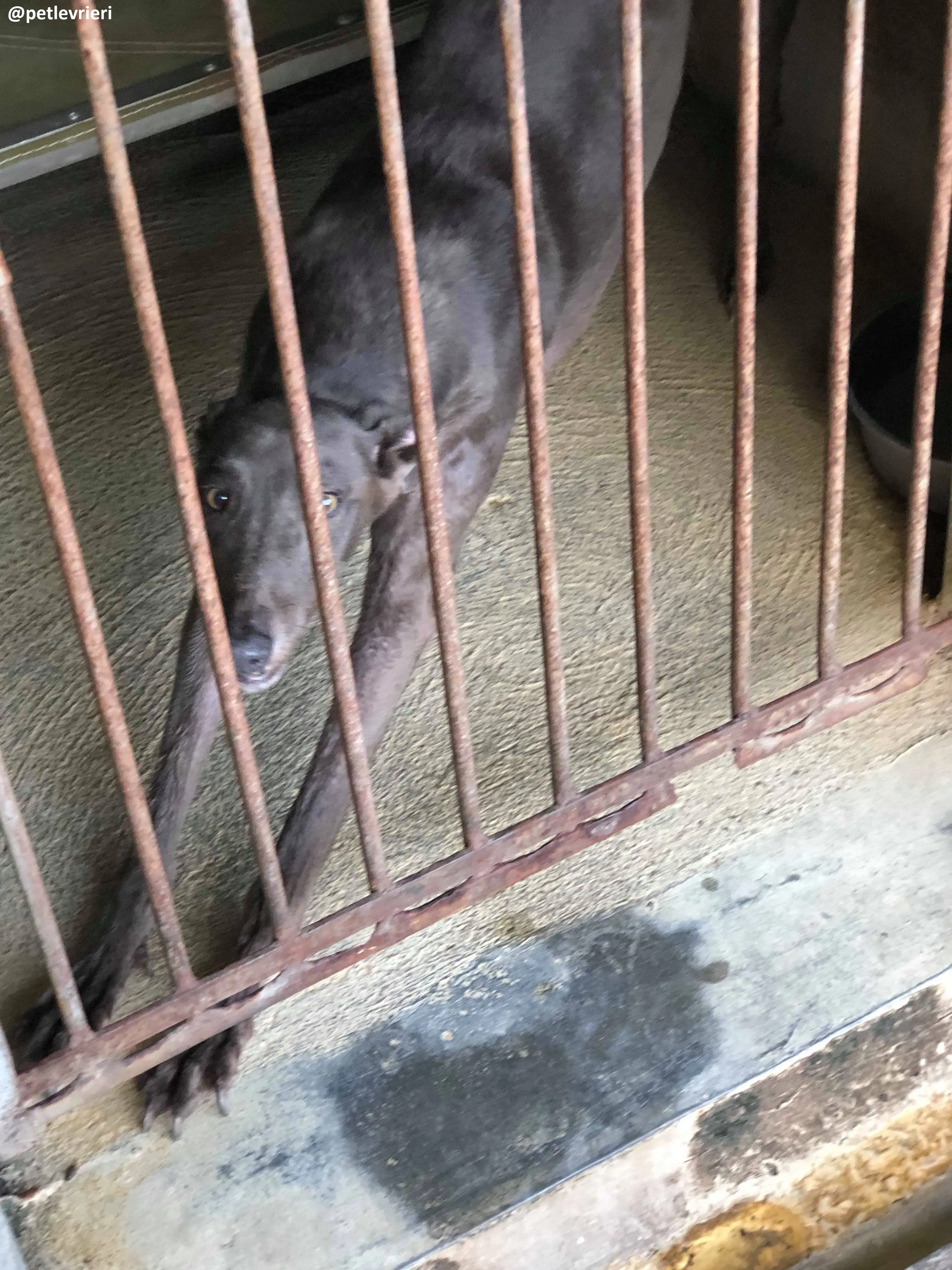 42218089 348968842510218 2915912778256482304 n 1