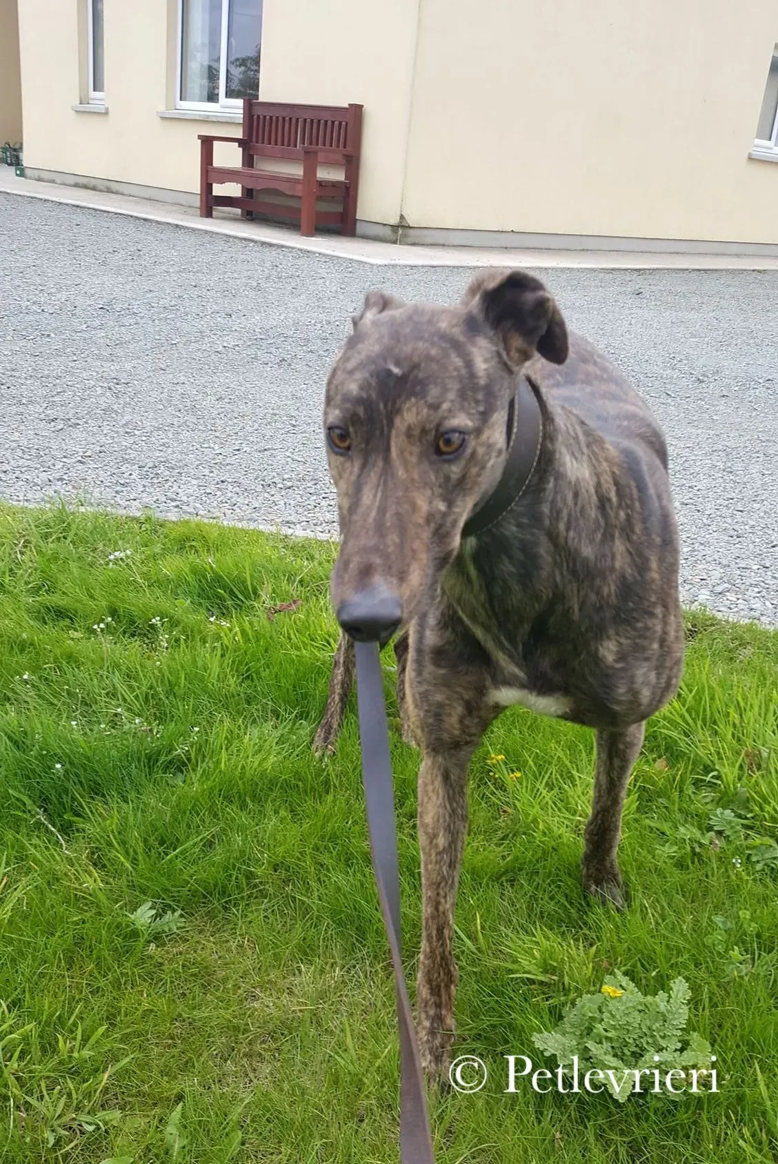 42221583 1029896010515682 6059531339428790272 n