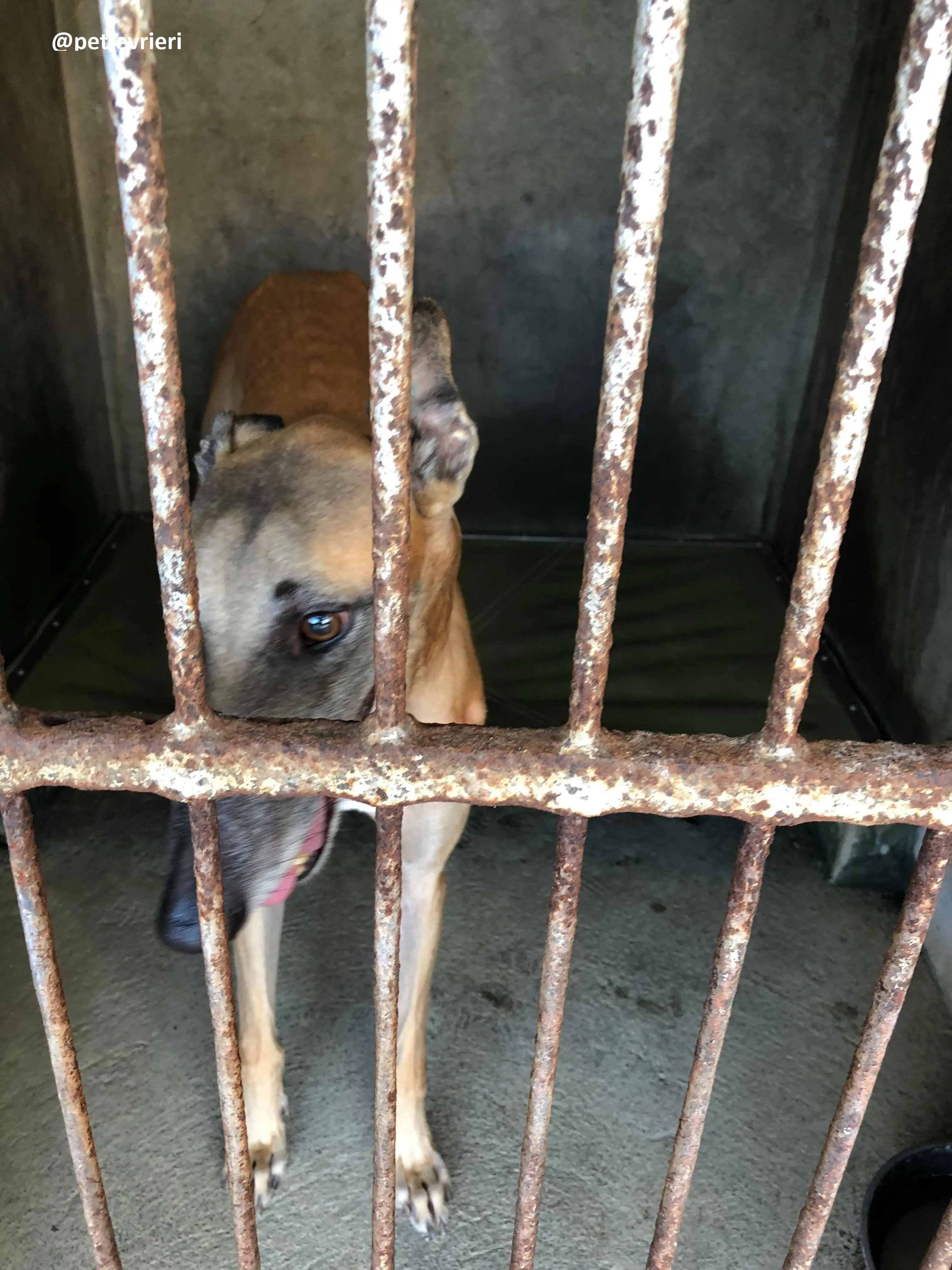 42221587 336931703745410 1447907787005755392 n