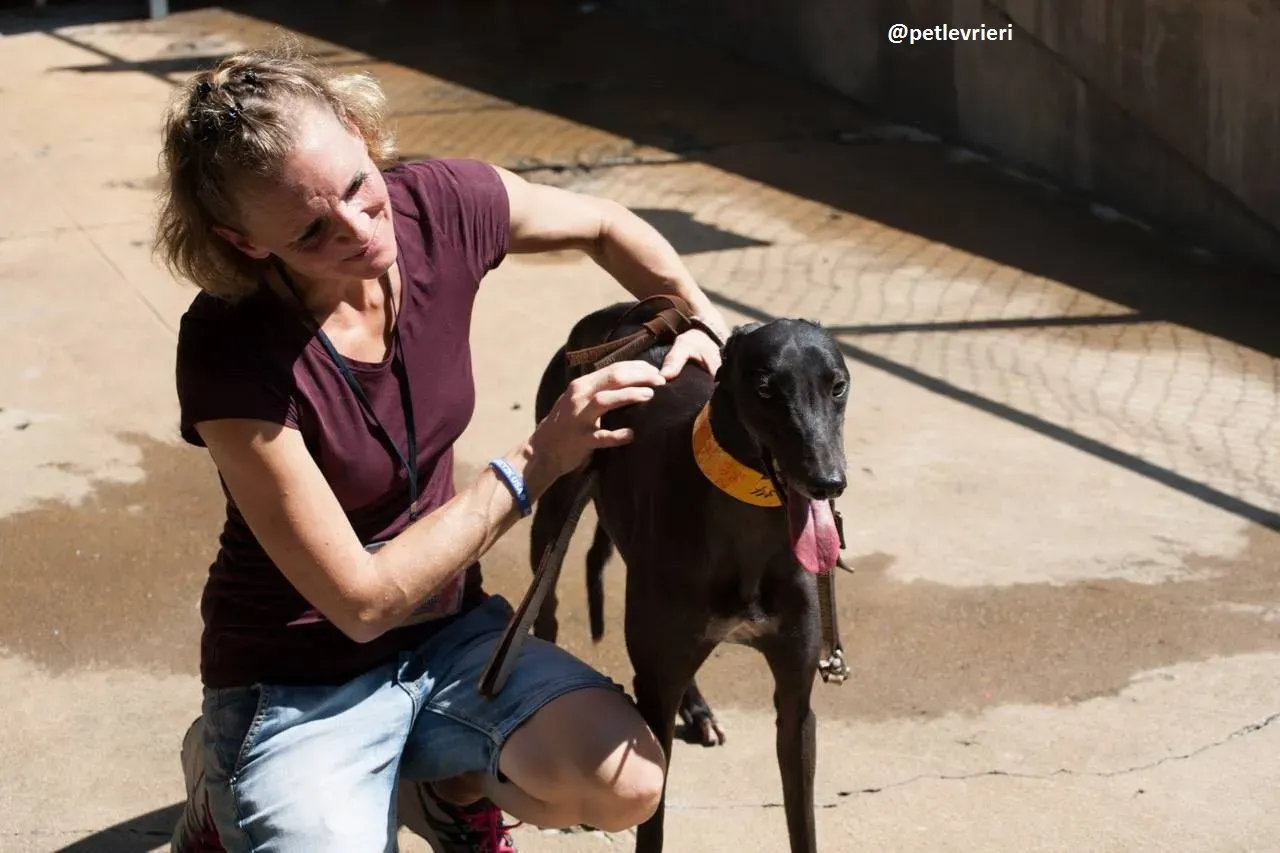 42222878 320745442063822 971441935006826496 n 1