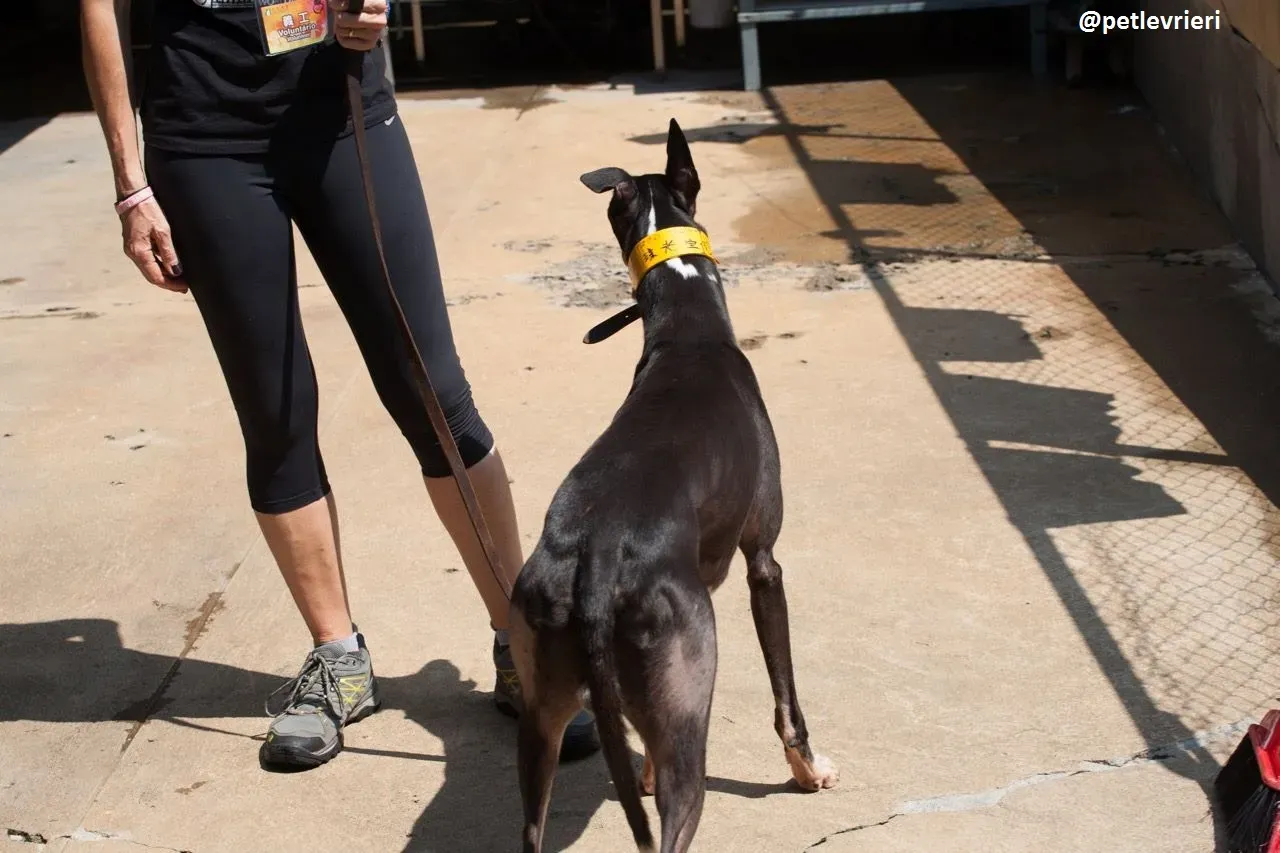 42222879 721659841522305 3522493526321397760 n