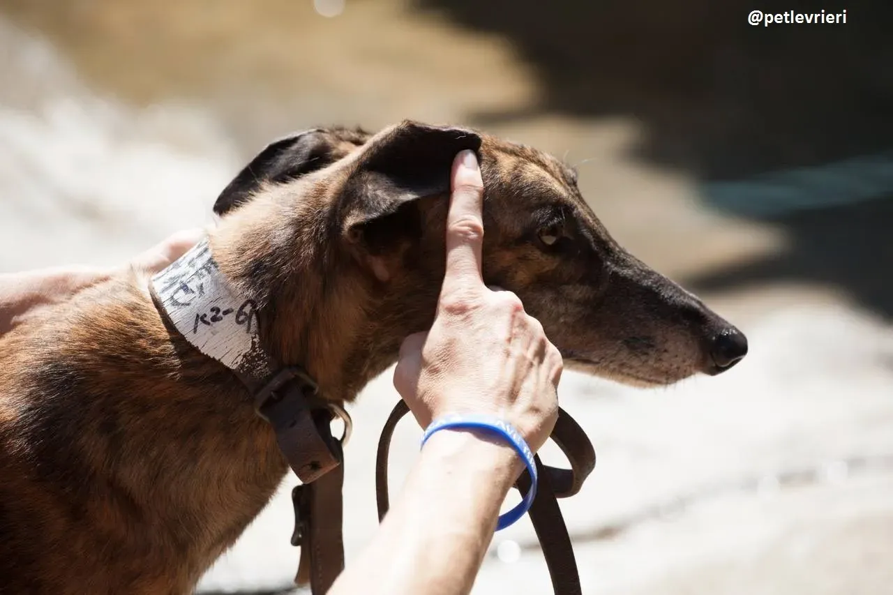 42222888 527809777646587 5536268580334600192 n 1