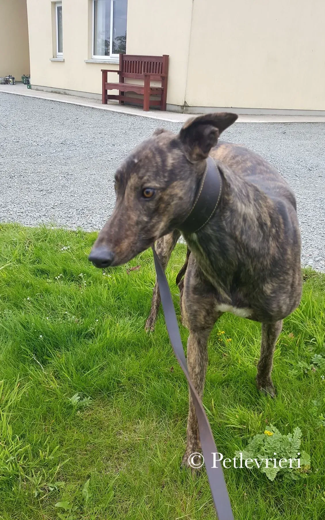 42225255 293712541458882 7929707030938386432 n