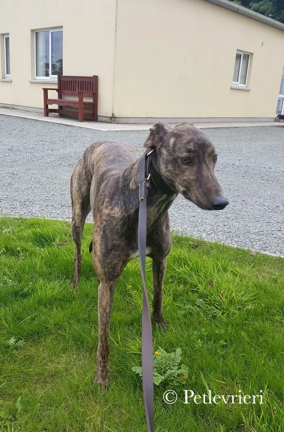 42225991 394634717774509 6697622093585973248 n