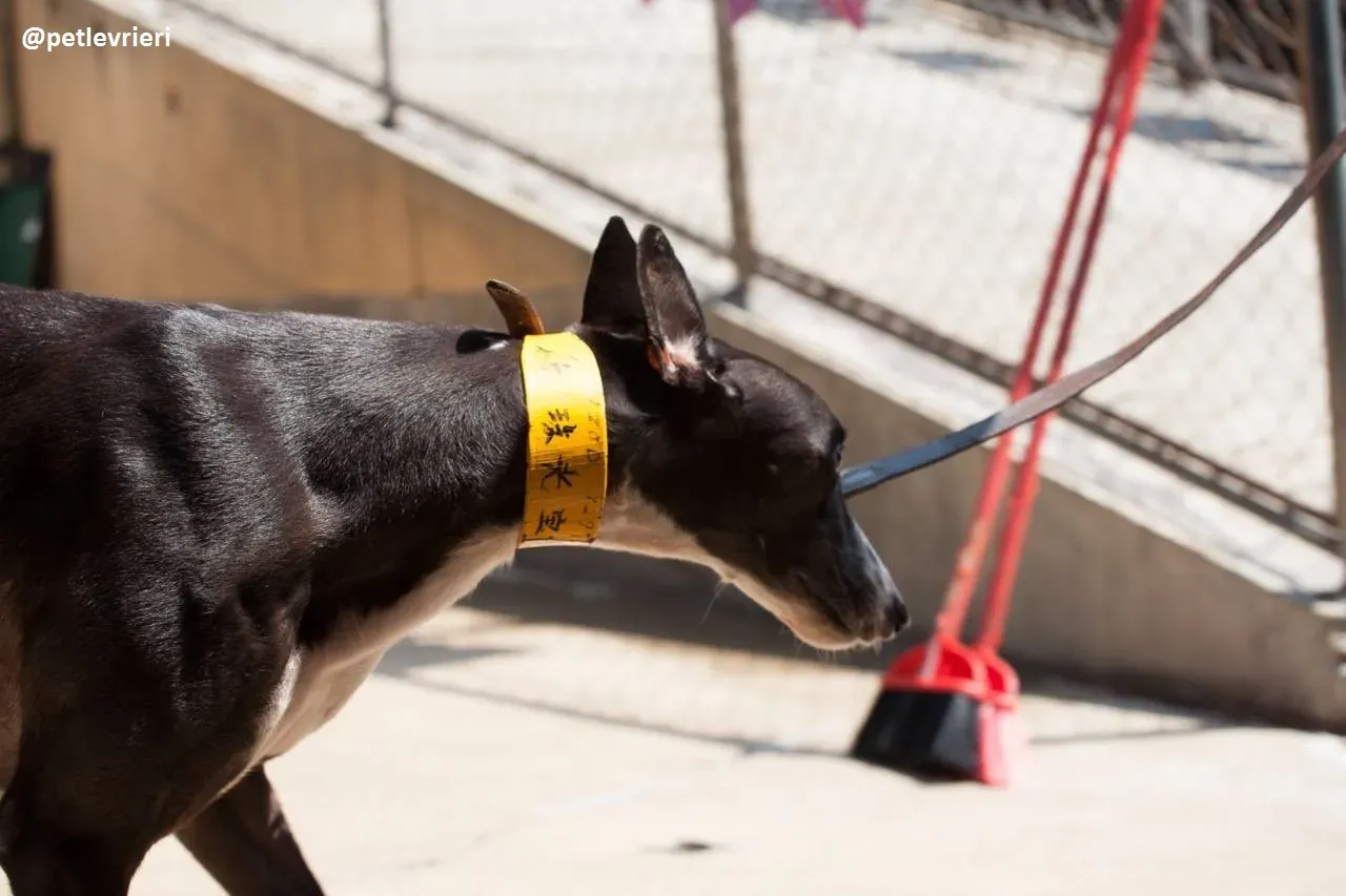 42227714 695365744175376 178247190097952768 n