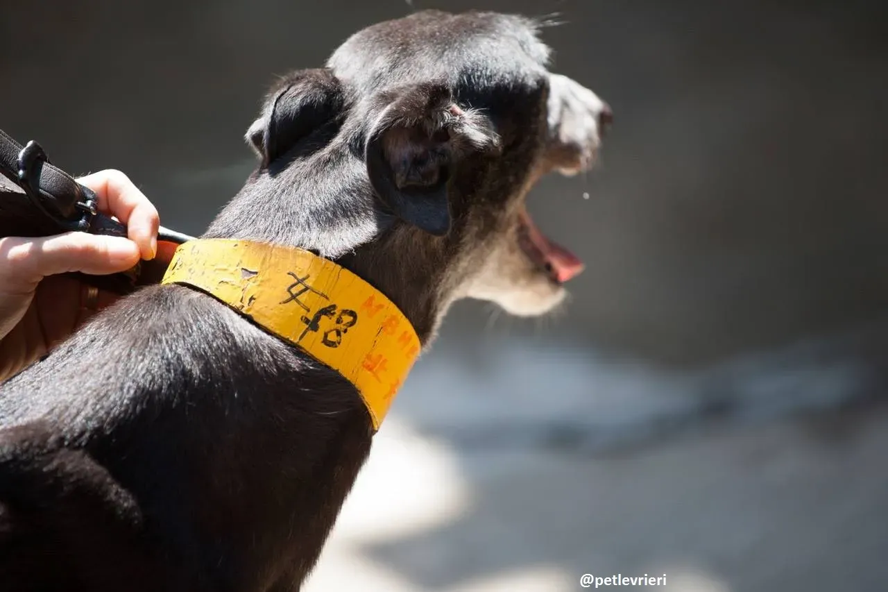 42229146 2033453610051834 1640607872767229952 n