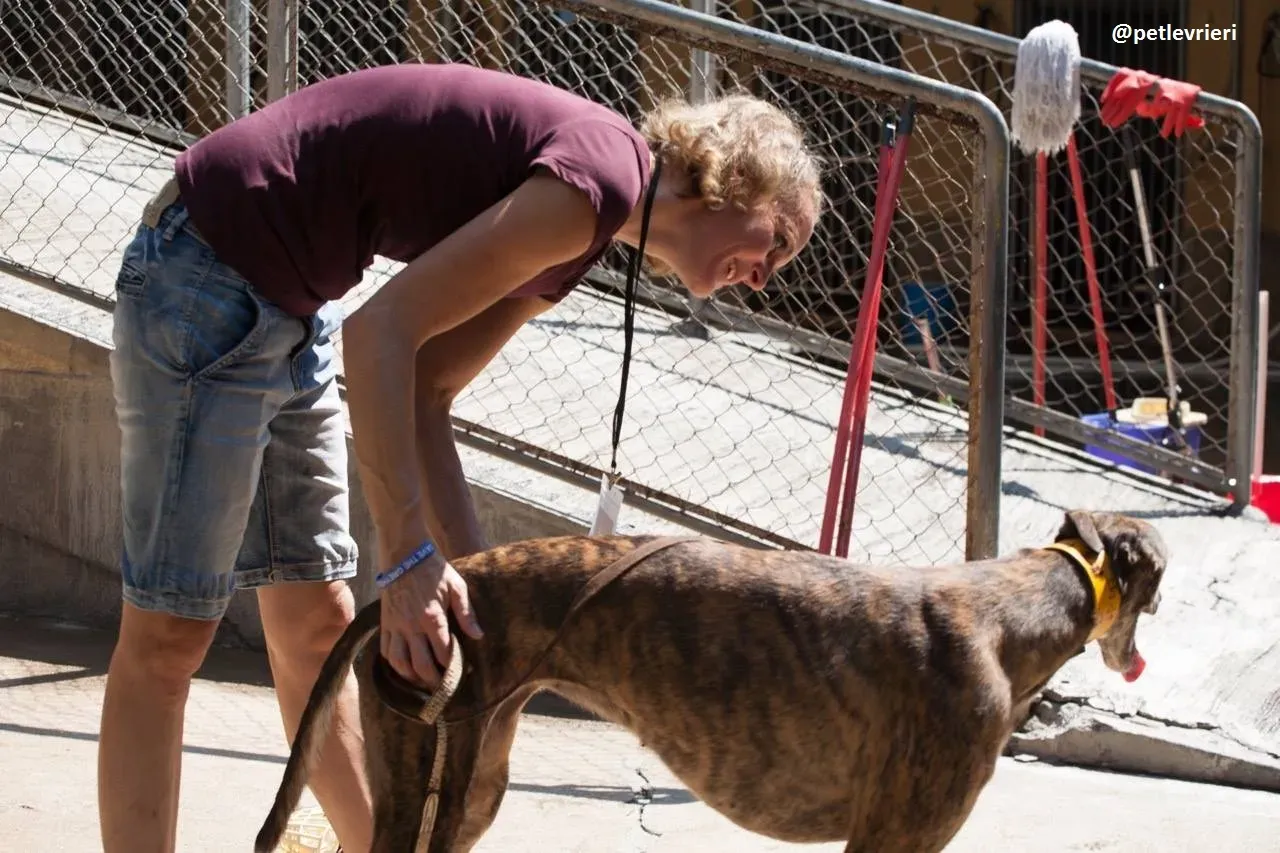 42229907 367716720434449 3138636579497574400 n