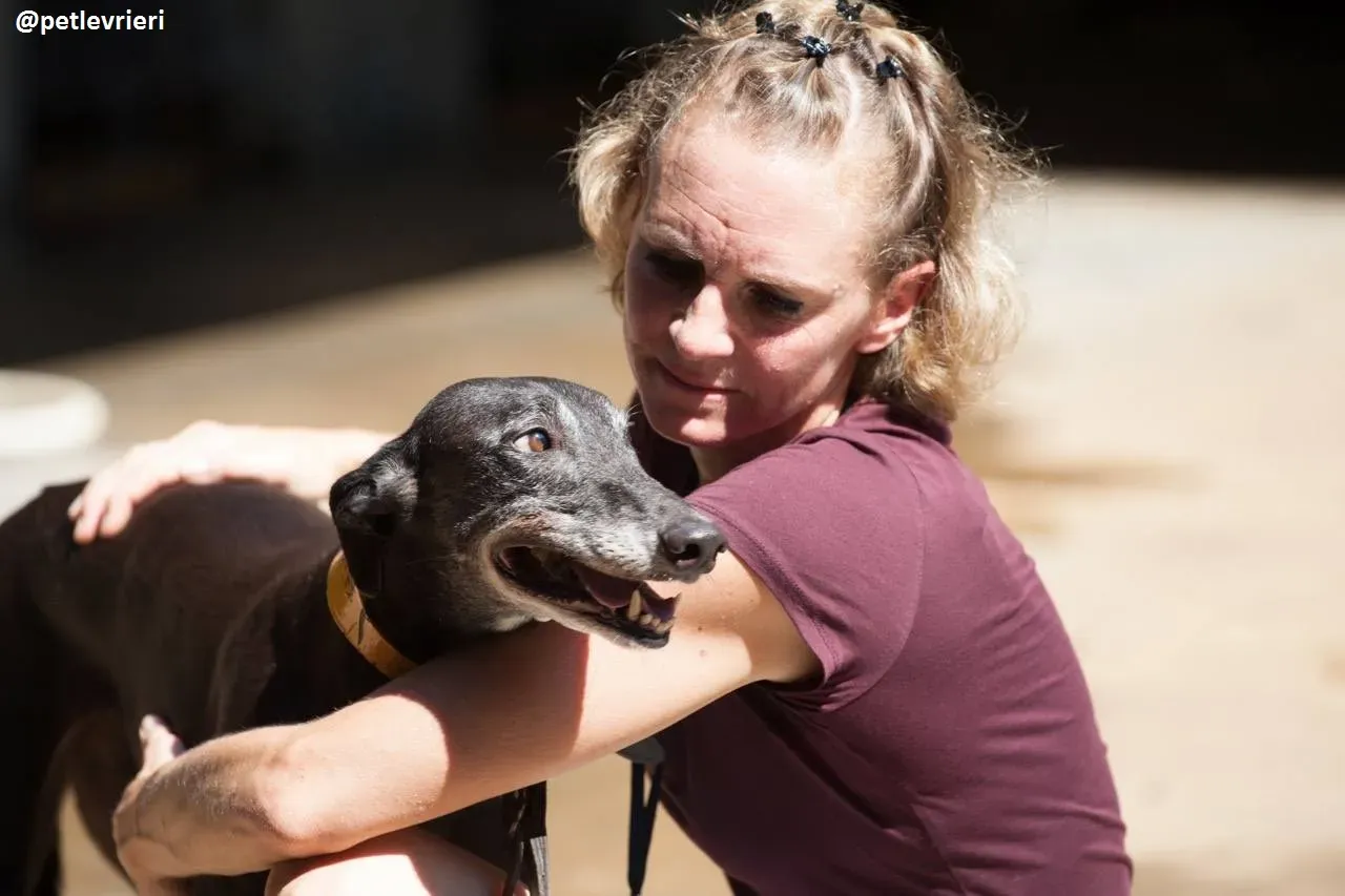 42229920 285225165642931 8930602777919356928 n