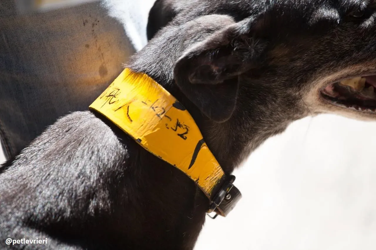 42230601 1893093757478847 1690888569570197504 n