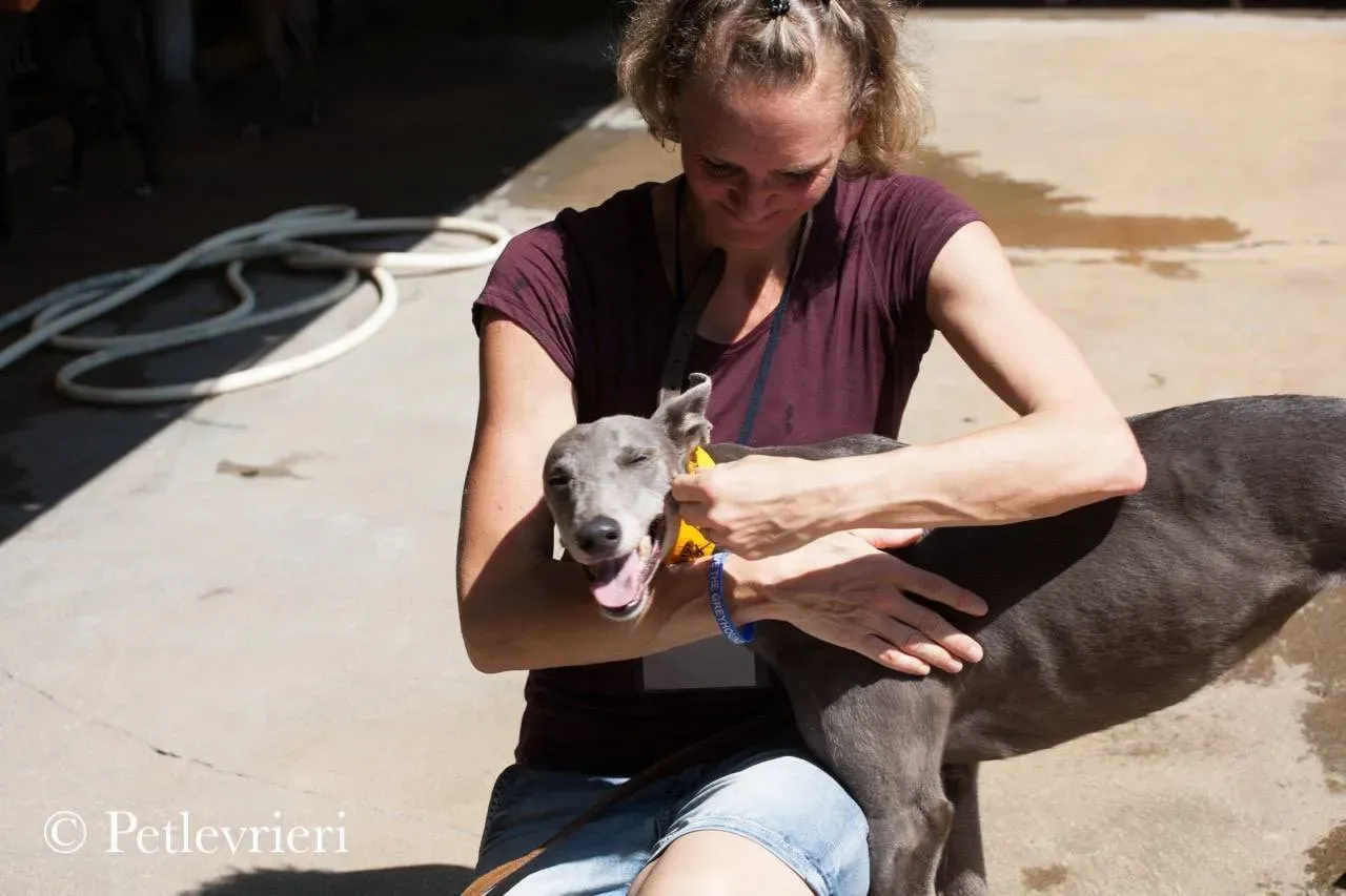 42231064 314352372489936 1414853095925481472 n