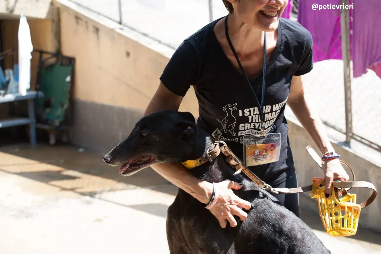 42231065 2229339247353379 4280319486130651136 n