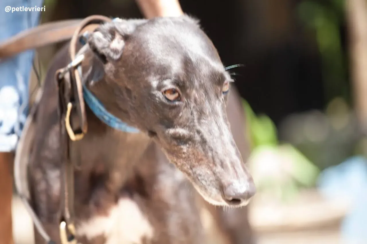 42231107 277635476406885 5435325166567555072 n