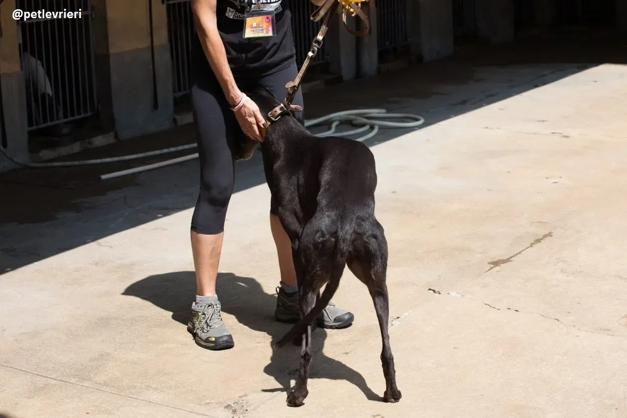 42231109 300142237450974 3834133381201788928 n