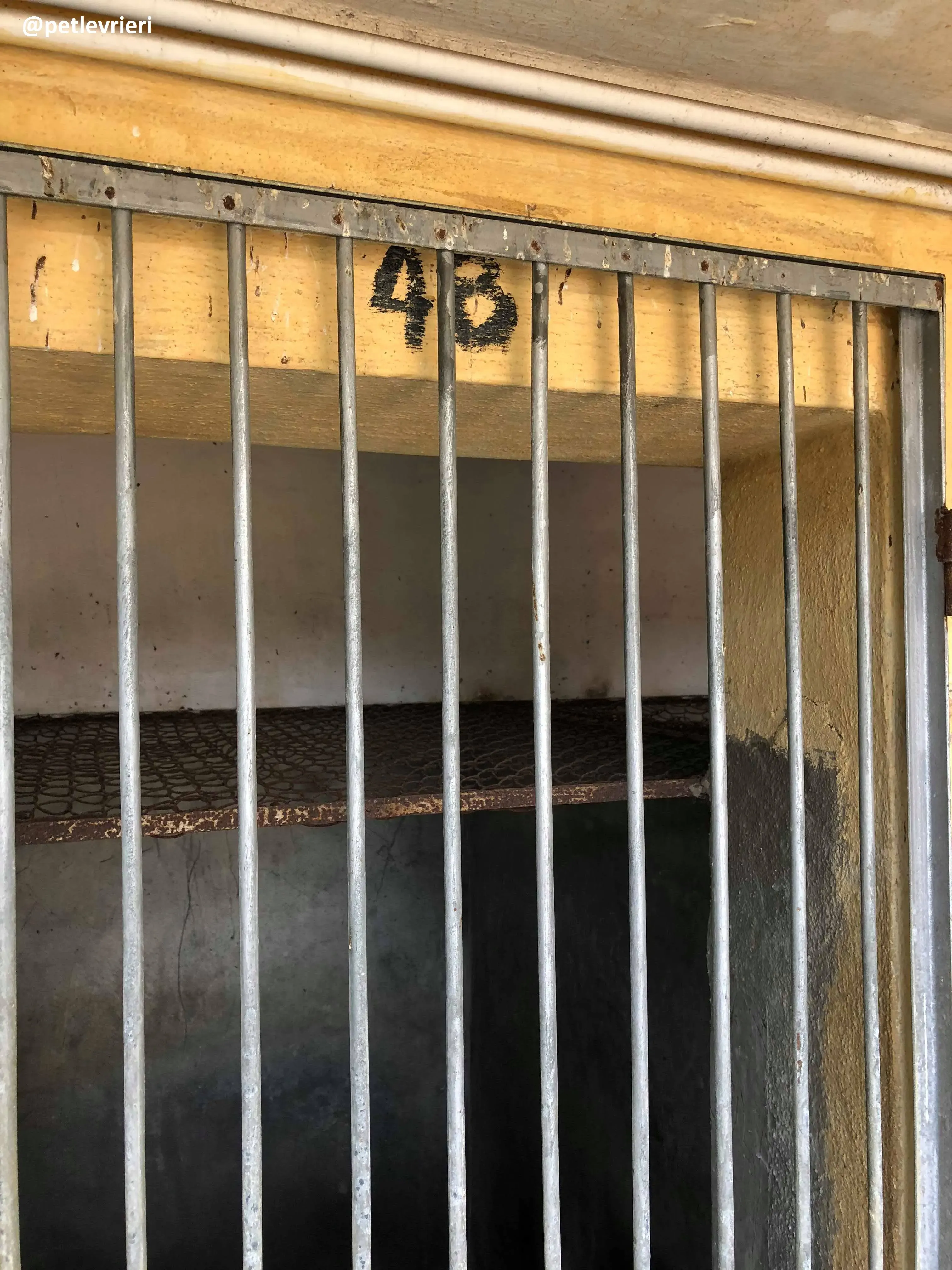 42235727 1844939032248745 3453817072272801792 n