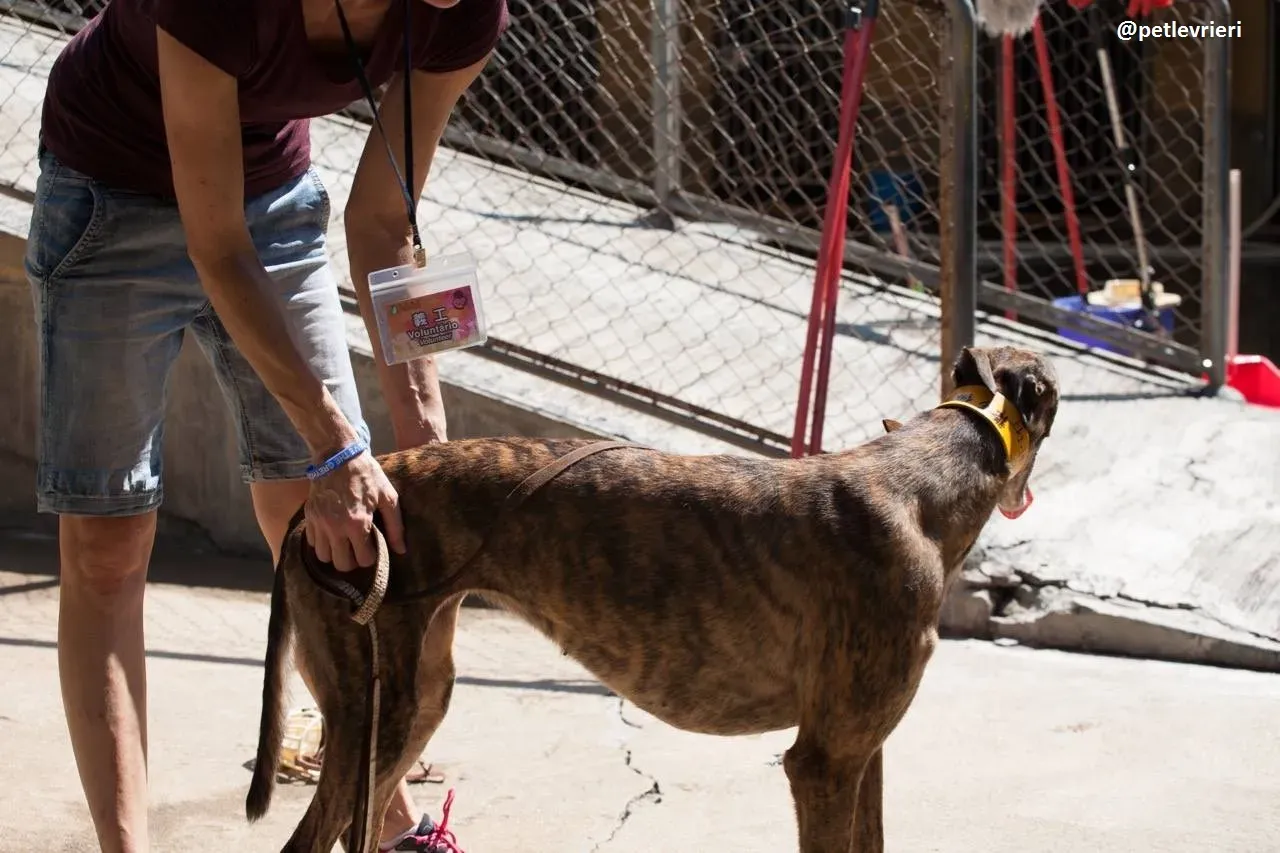 42235735 2157045947841061 8993034100411465728 n