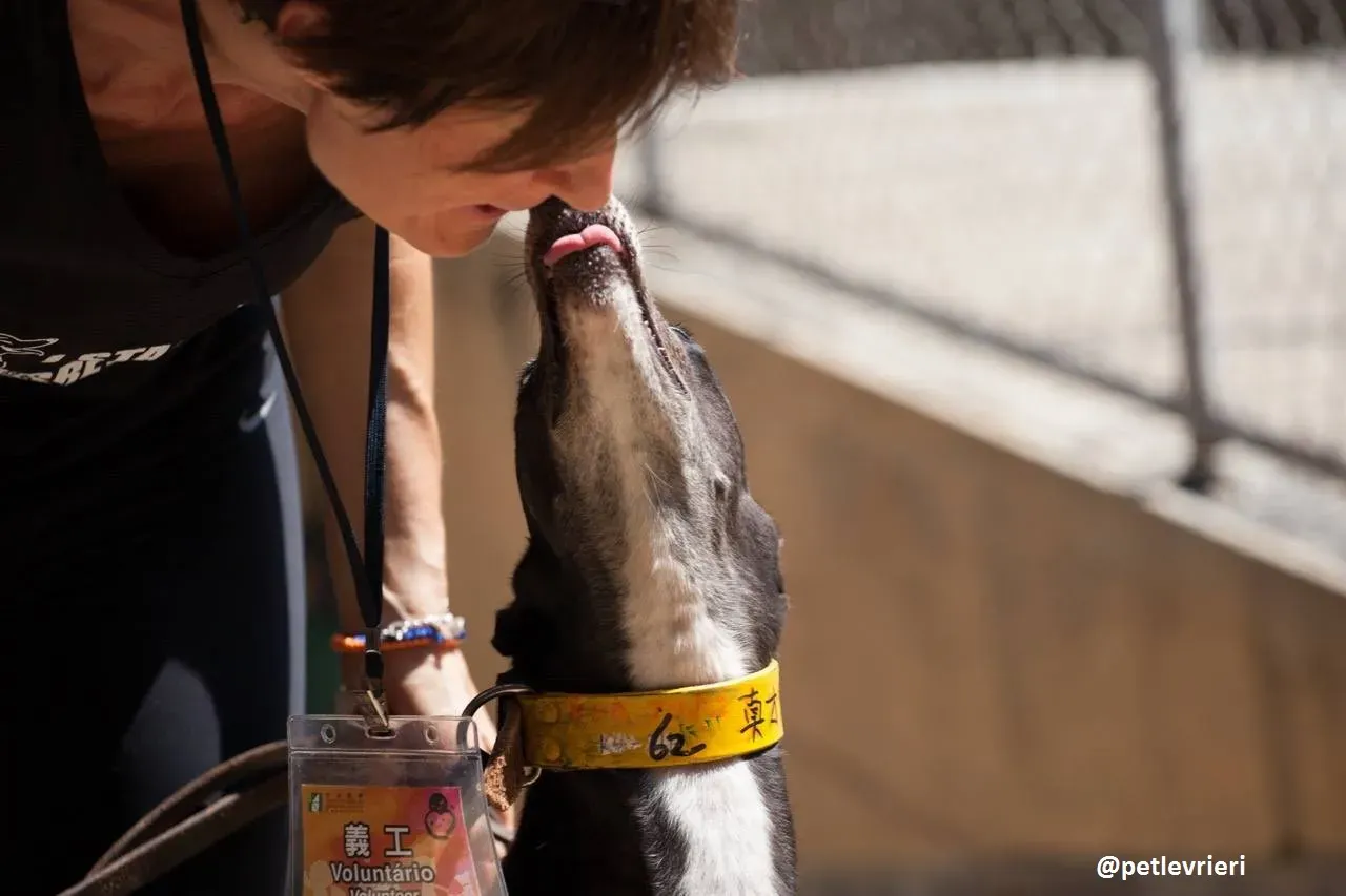 42236103 2233544926934716 7693197608742813696 n 1