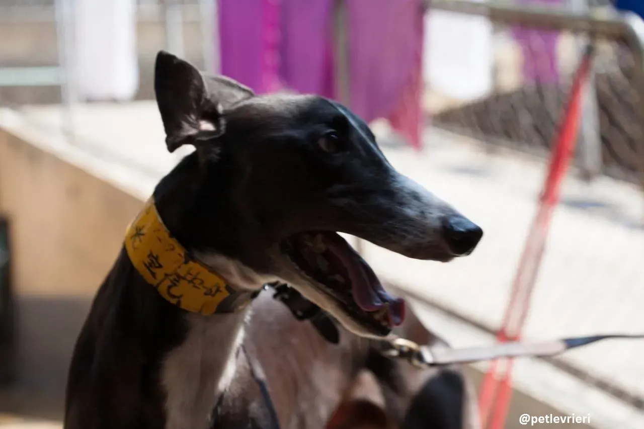 42236173 2162852153973258 7425303640744656896 n