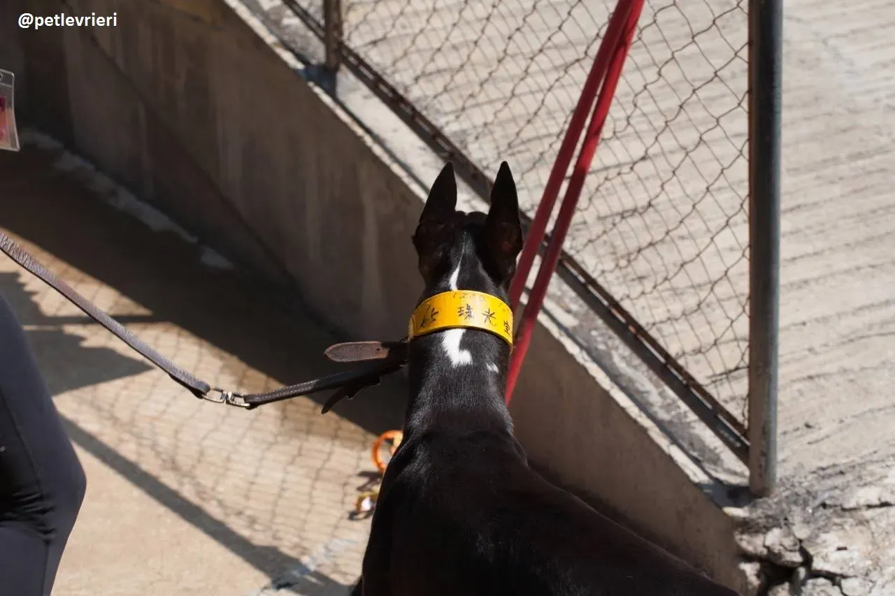 42238189 288536448417333 7440438564329881600 n