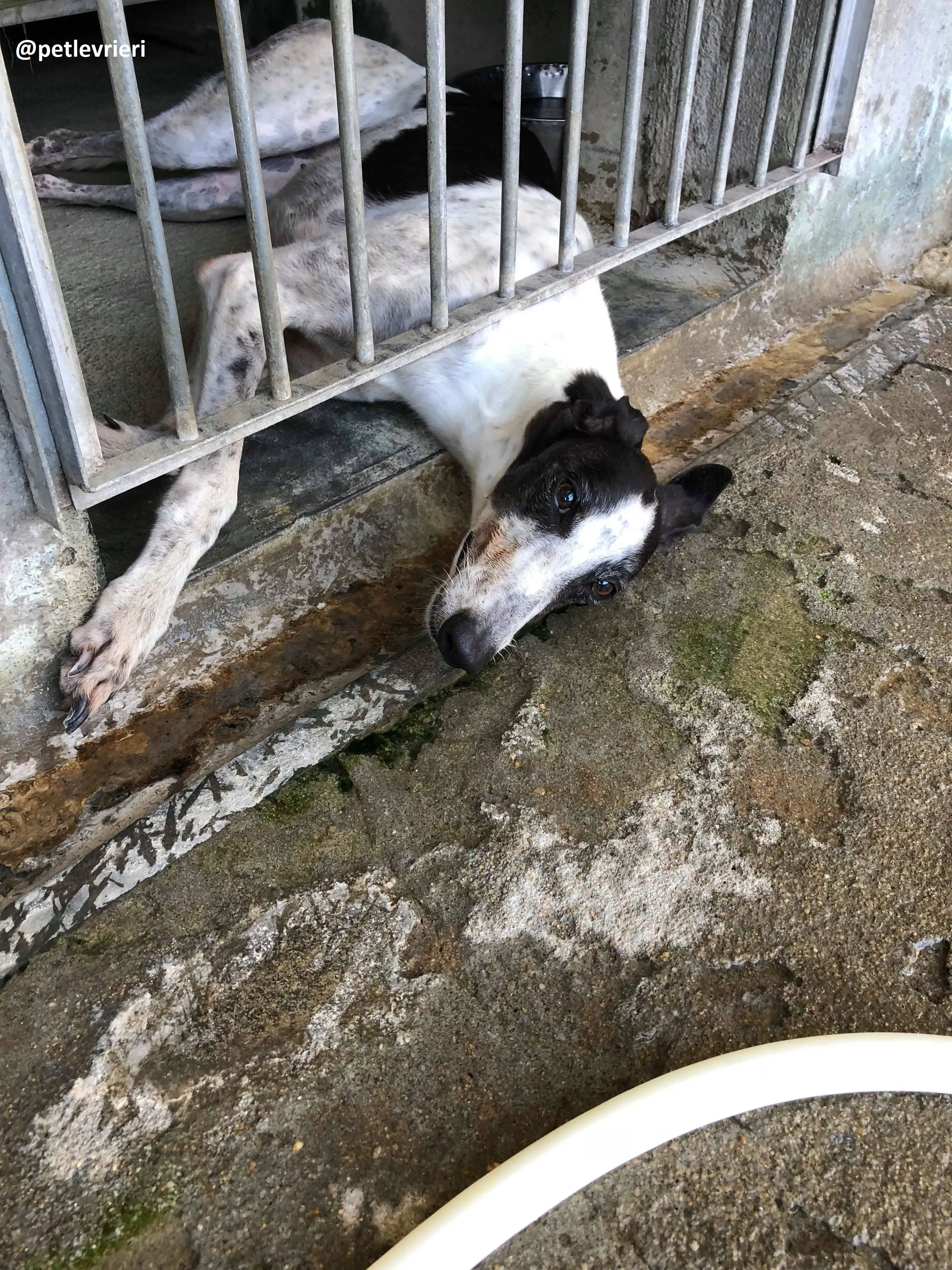 42239372 2229629757294502 5233880931118350336 n