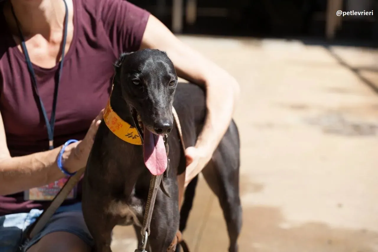 42239374 2147676022165630 3760978066537447424 n