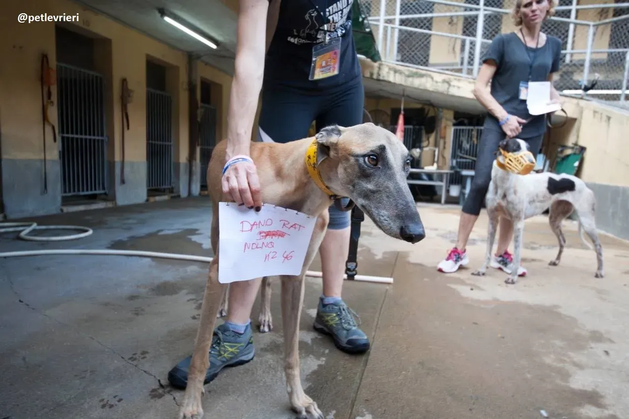 42244841 1879040785523895 3929583488847577088 n