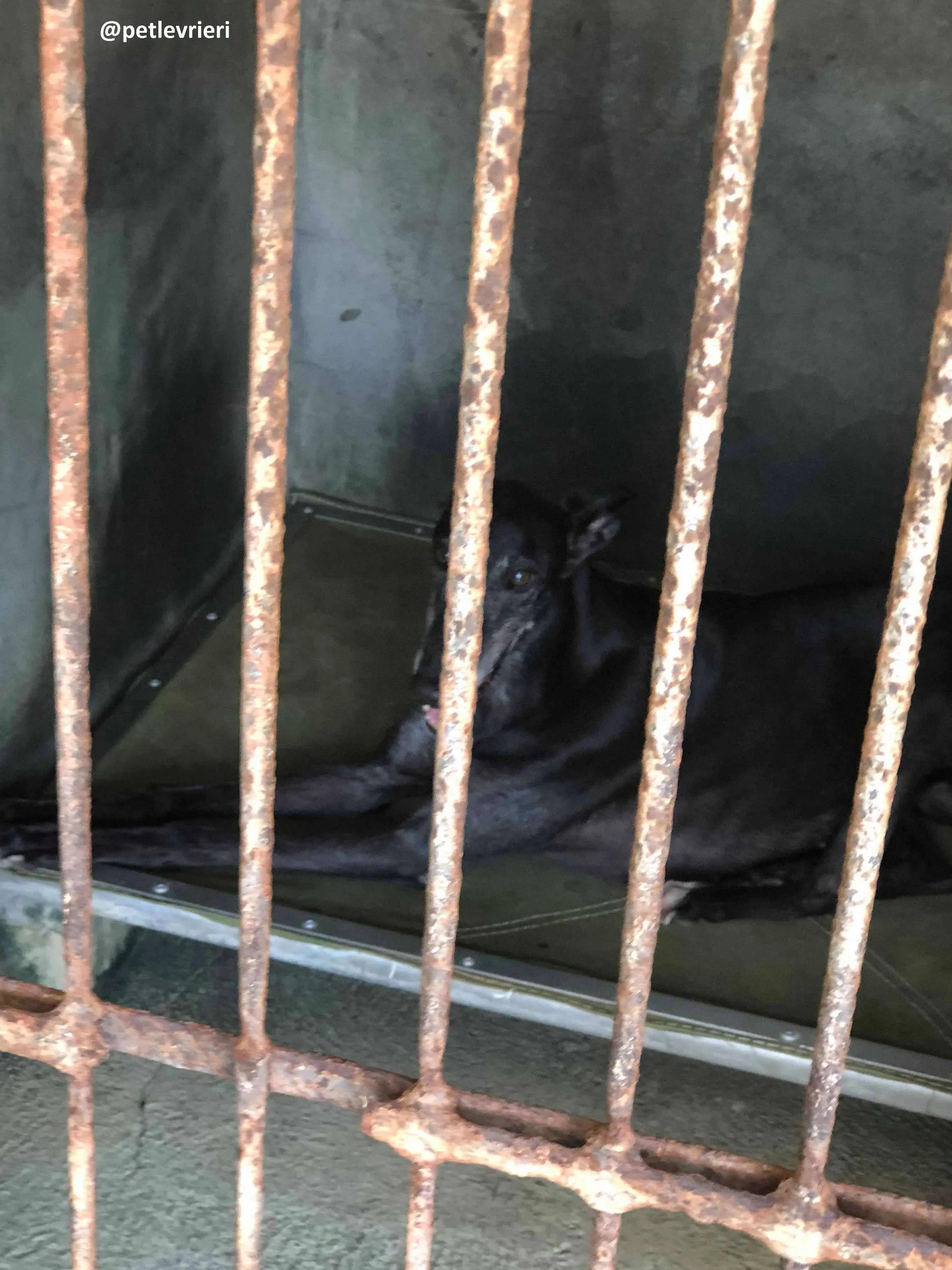 42245224 1919112458198038 1387435218708725760 n