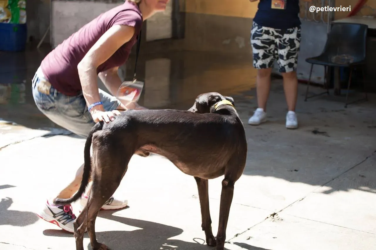 42247253 1056030877907977 8374569564385574912 n 1