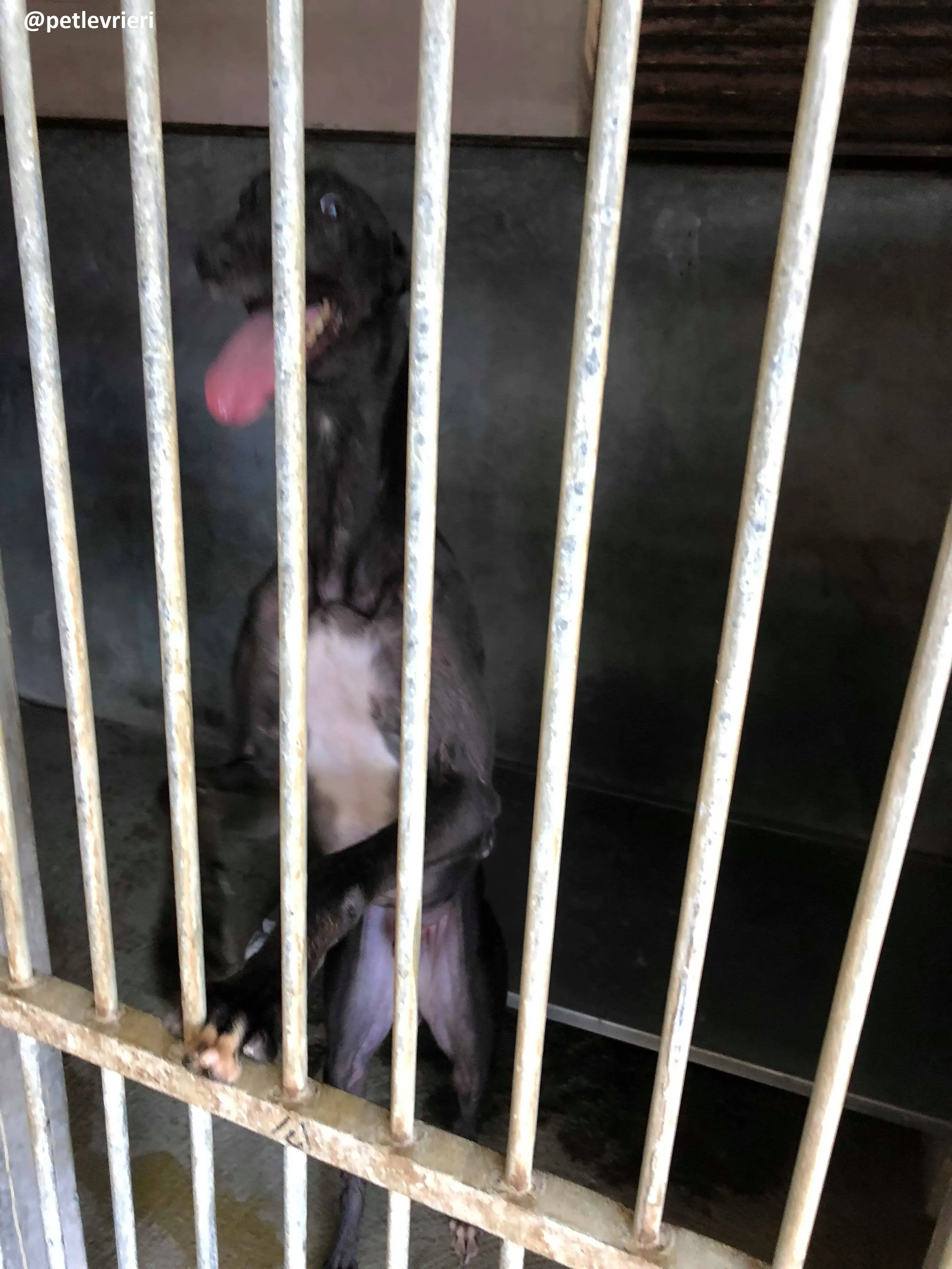 42249259 905058933037557 8905819446526869504 n