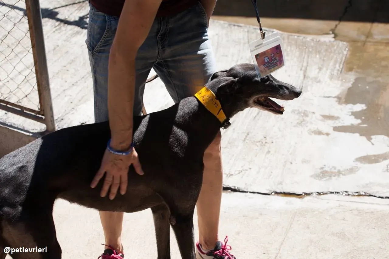 42249265 714128032274033 4392852302210269184 n