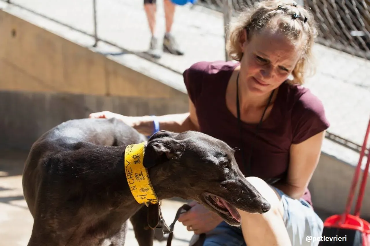 42249271 2094597017523031 3000886644623540224 n