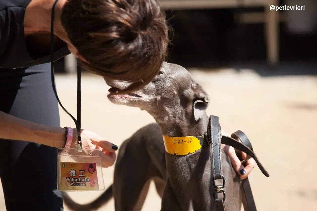 42250776 499724060507599 5476651728436723712 n