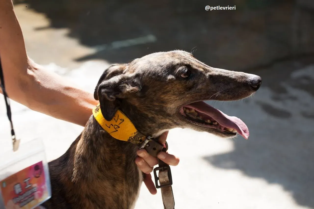 42251830 303378303789288 2909093860544086016 n