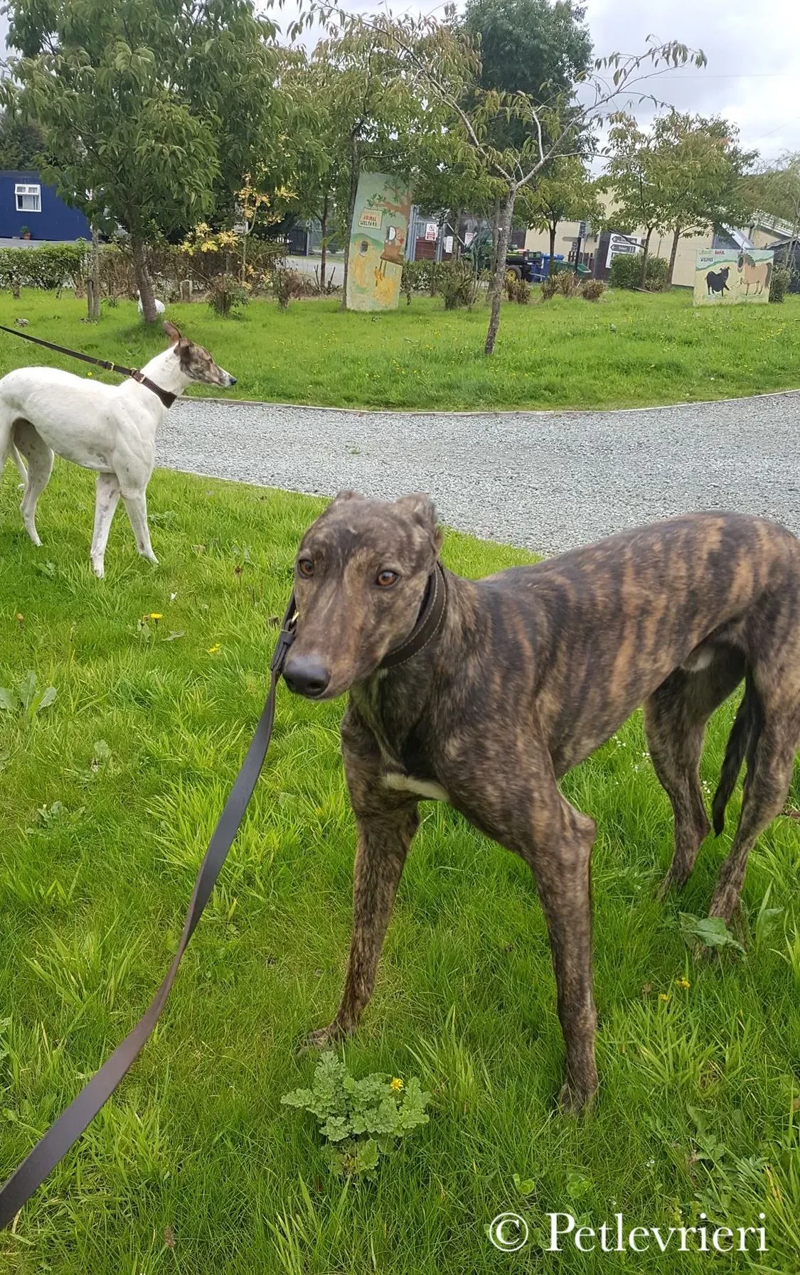 42254645 1045973978945713 2017999588140515328 n